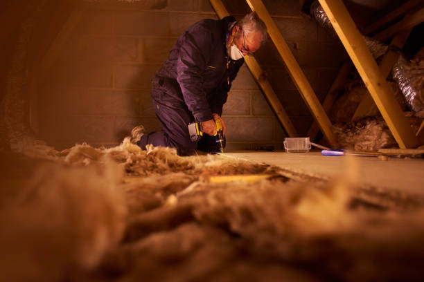 Best Insulation Contractors for Homes  in Laurel Bay, SC